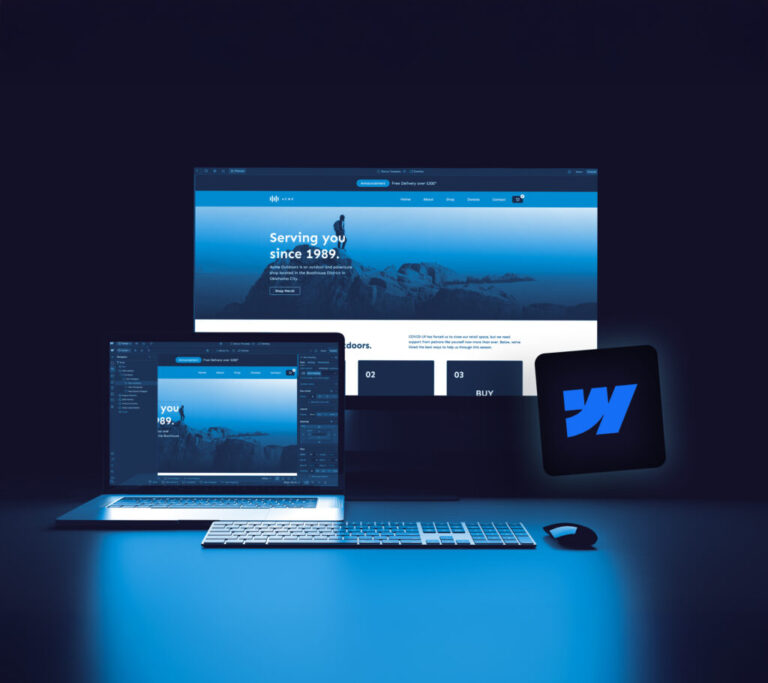 webflow-2-1024x910